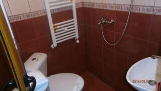Гостевой дом Guesthouse Dyskot Cherni Vit Трехместный номер с собственной ванной комнатой-4